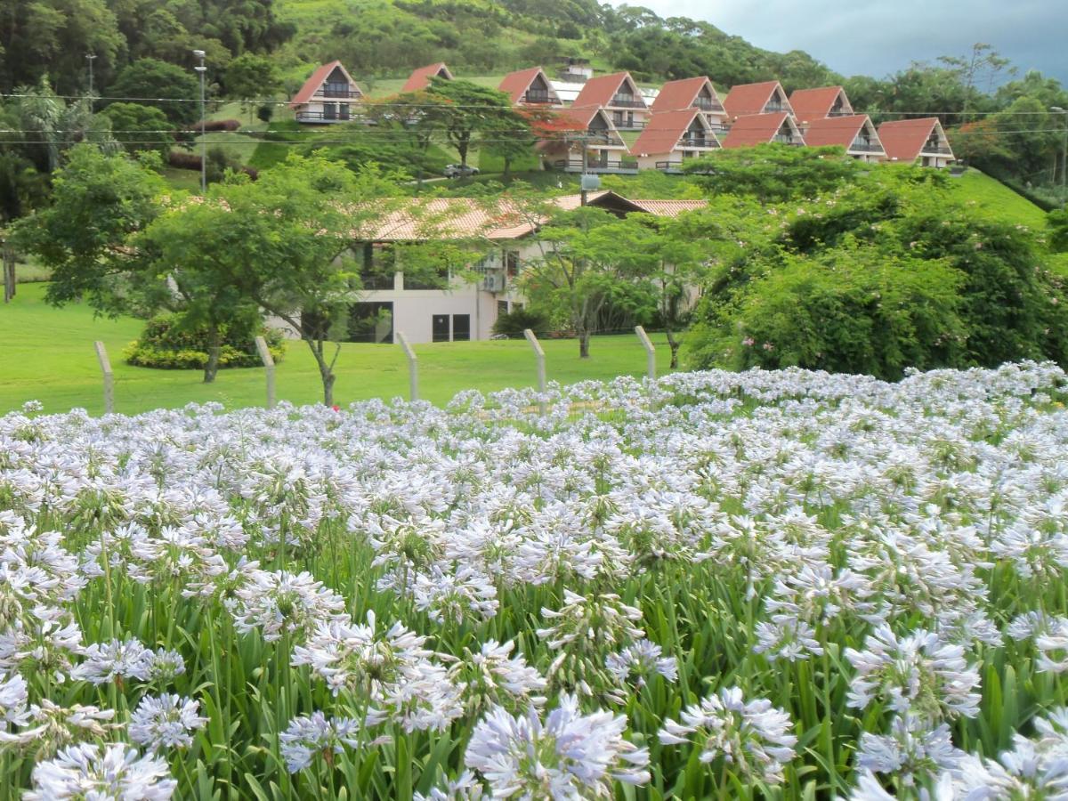 Tureck Garten Hotel Corupá Eksteriør billede